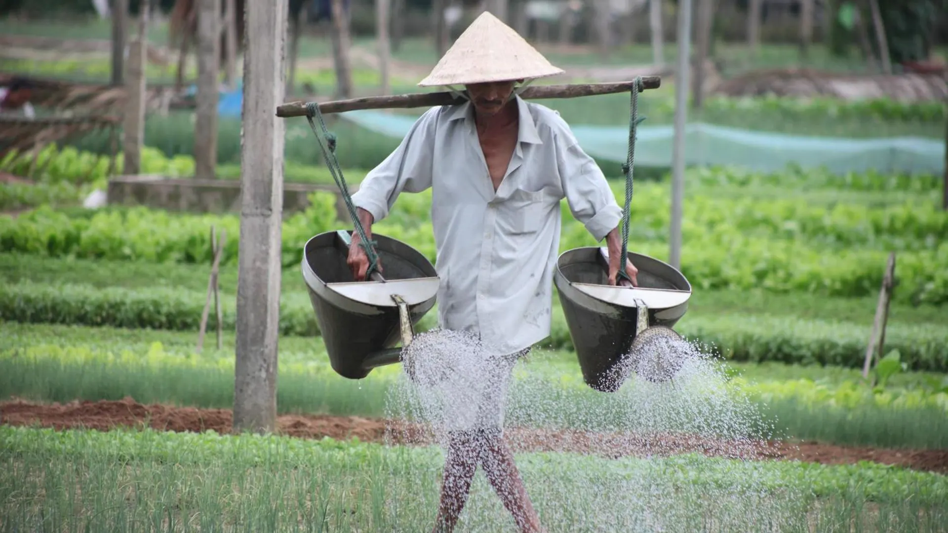 Charming Homestay Hoi An