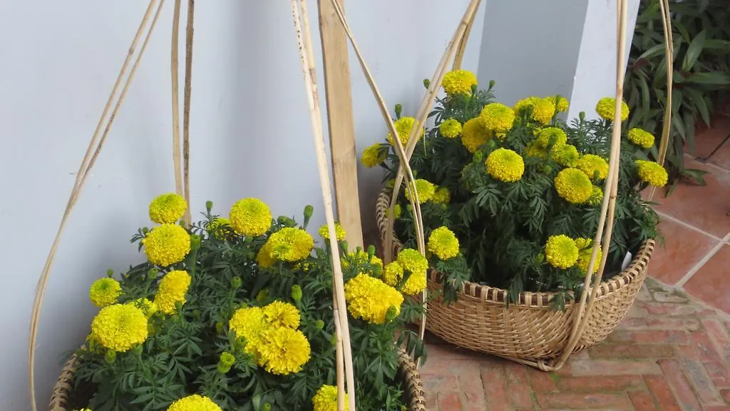 Charming Homestay Hoi An