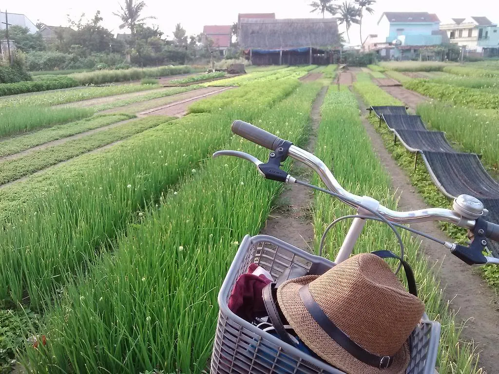 Charming Homestay Hoi An 0*,  Vietnam