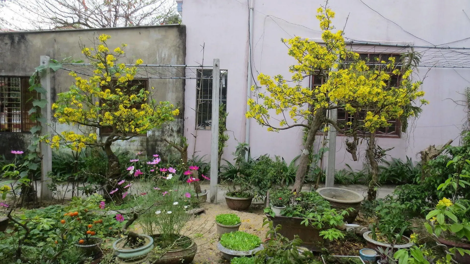 Charming Homestay Hoi An
