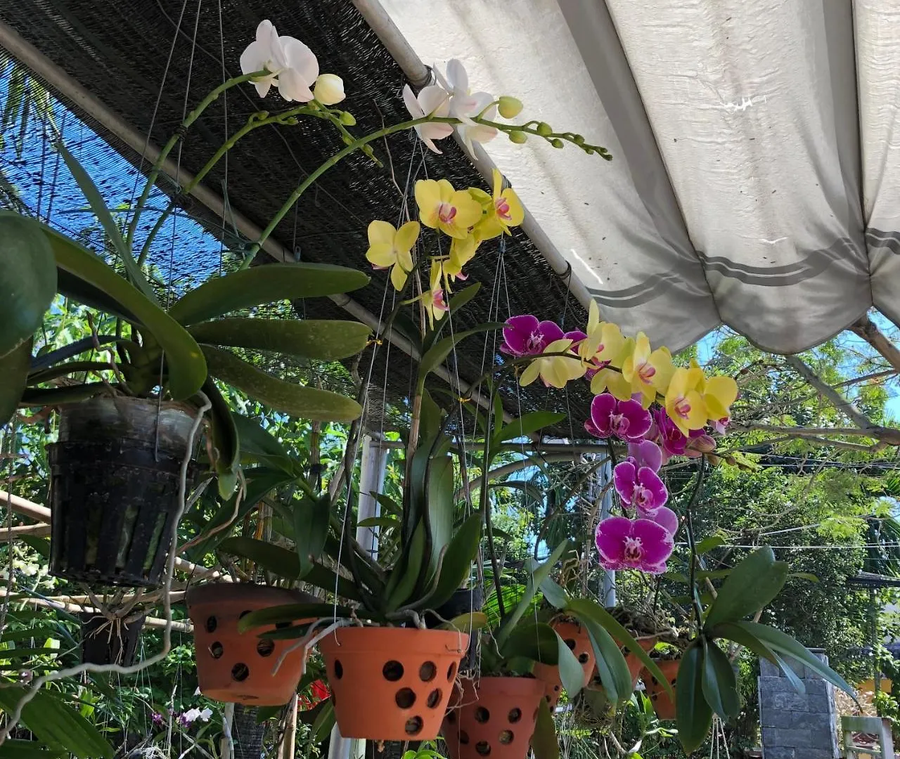 Charming Homestay Hoi An 0*,